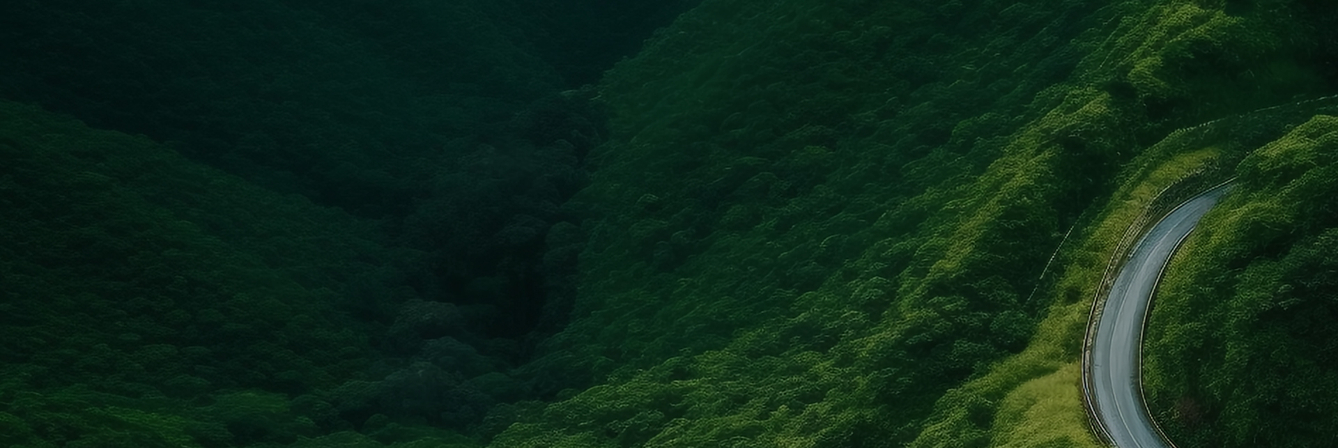 森網(wǎng)家?產(chǎn)品中心