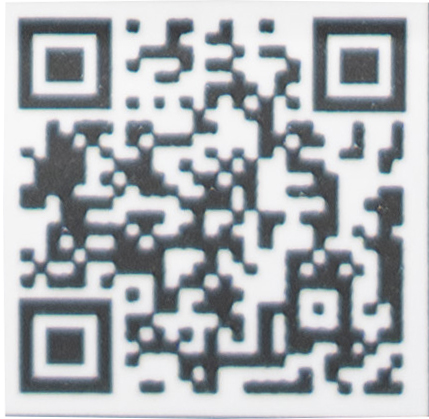 DSC08386(.jpg